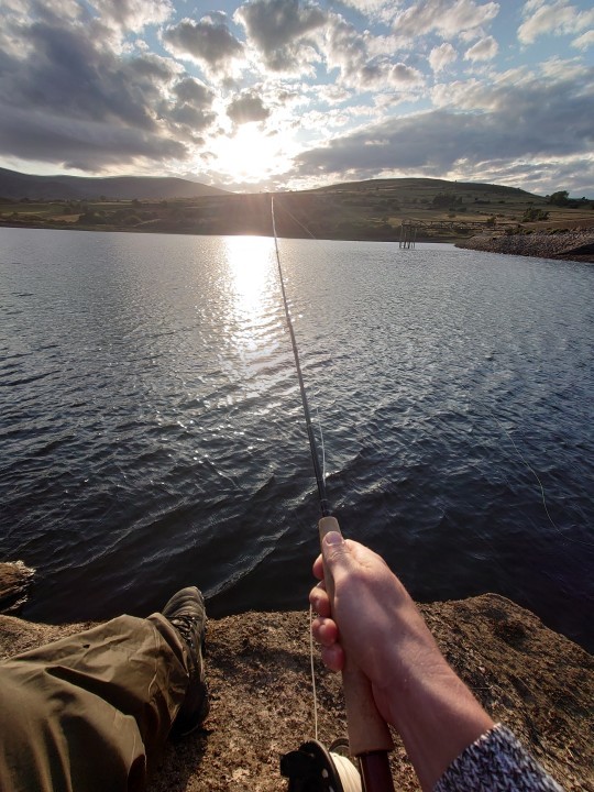 Llyn Coedty - OG from Caerdydd